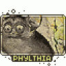phylthia